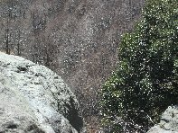 qua Rocca20100328 045